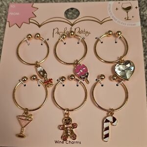 🟠Pack of Party Gold Wine Charms #D2